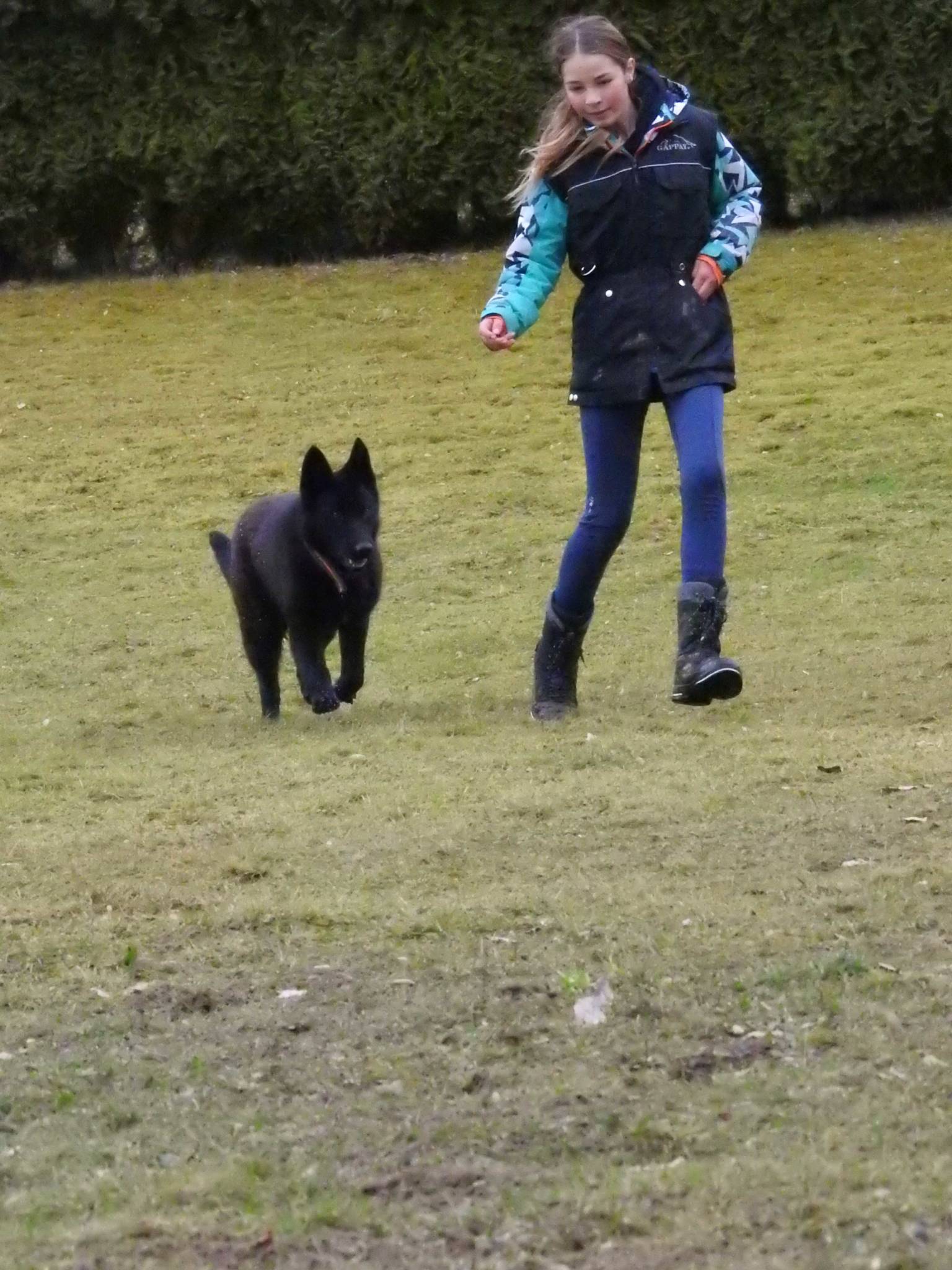 Training