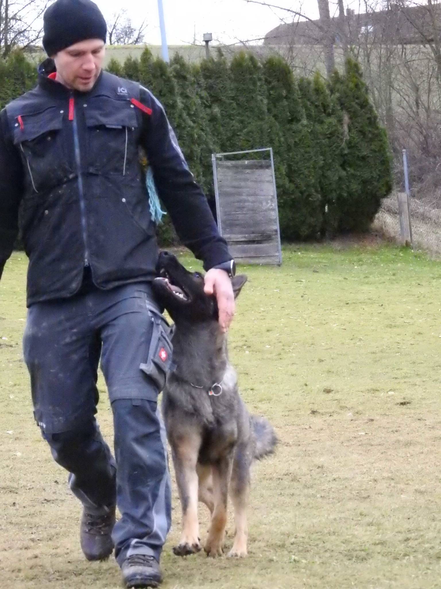 Training