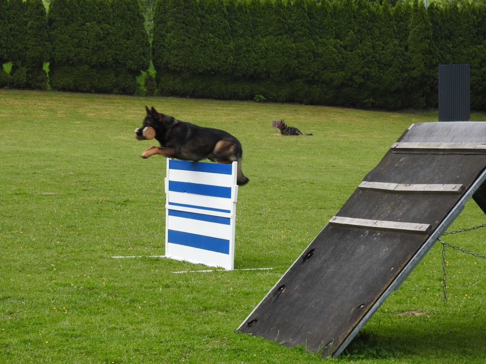 Frühjahresprüfung