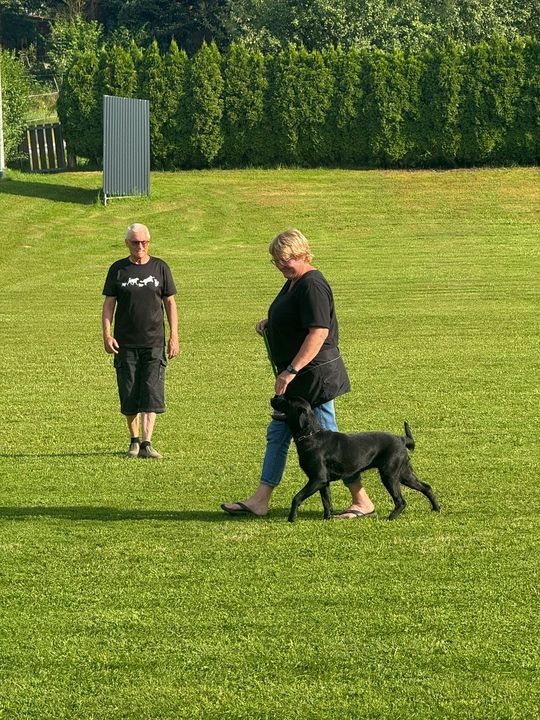 Training Tara