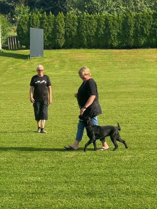 Training Tara