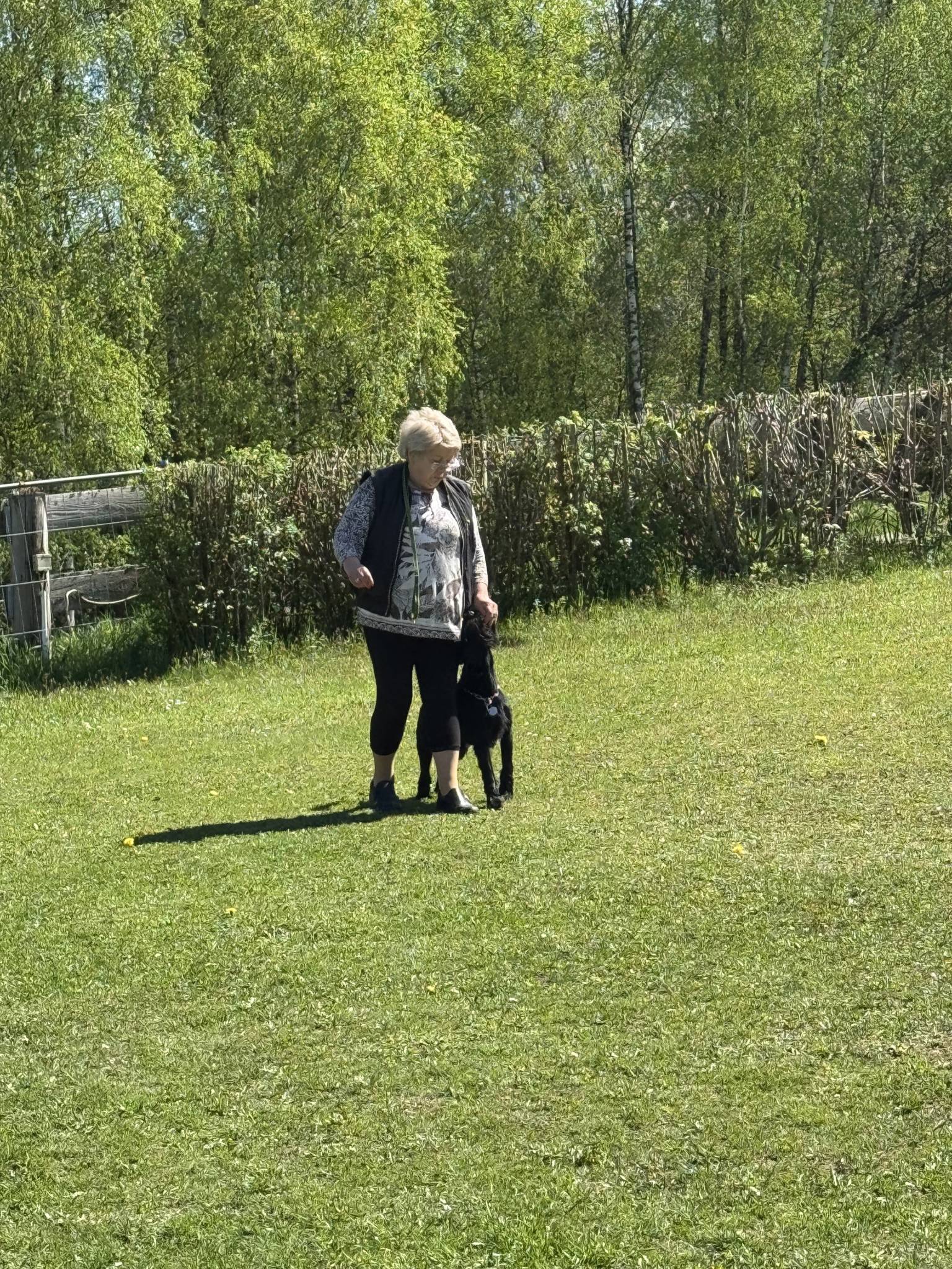 Training