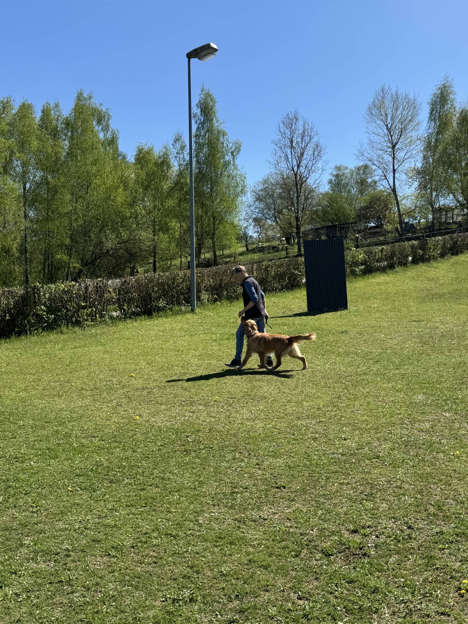 Training