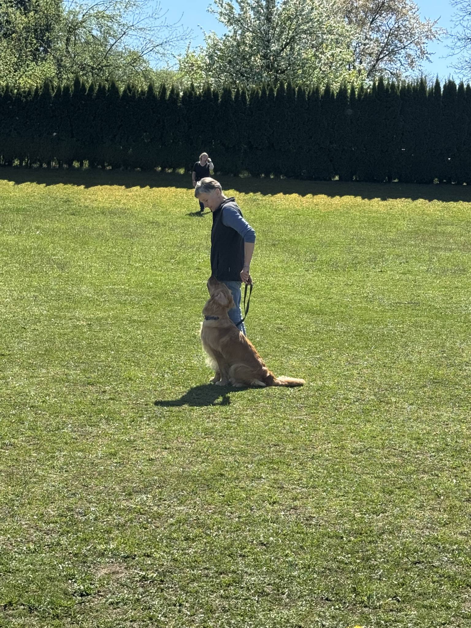 Training