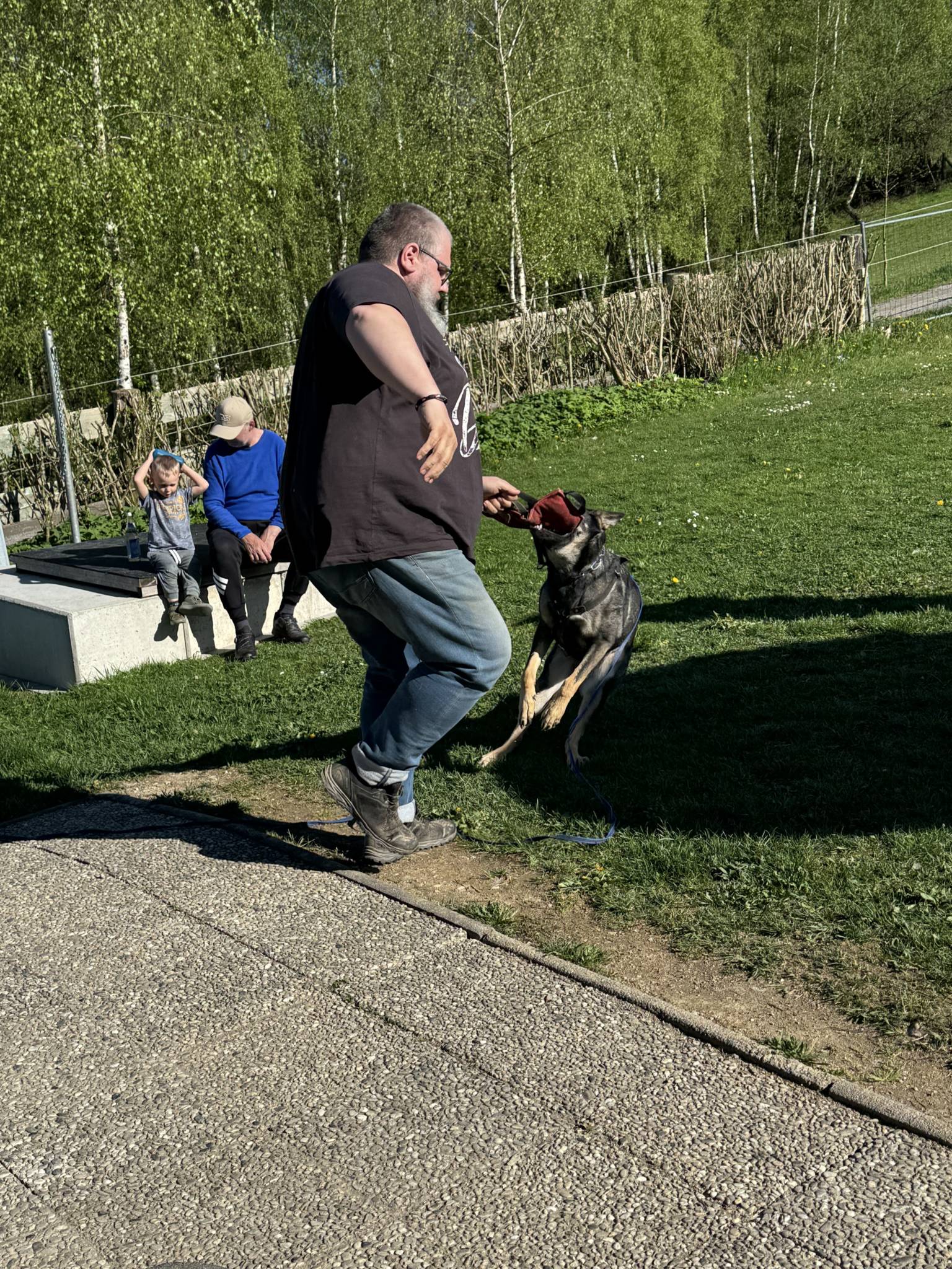 Training