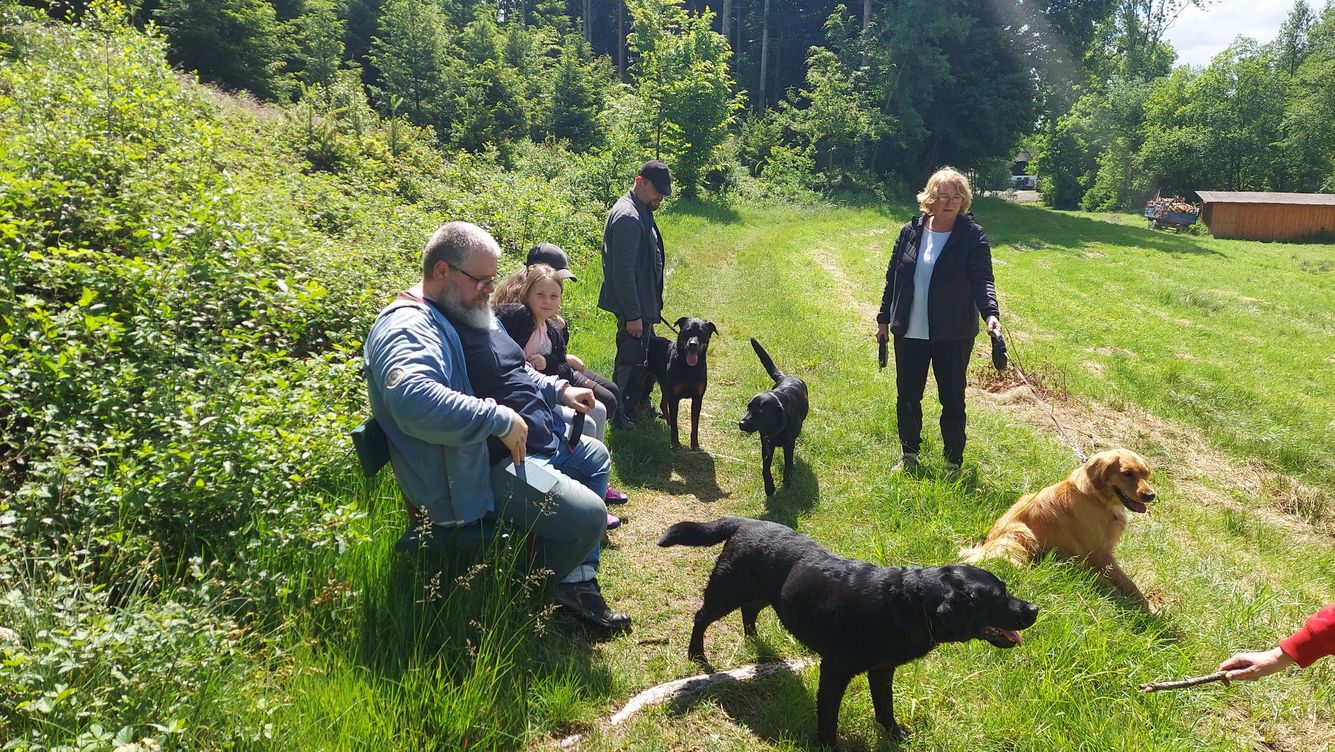 Wandertag